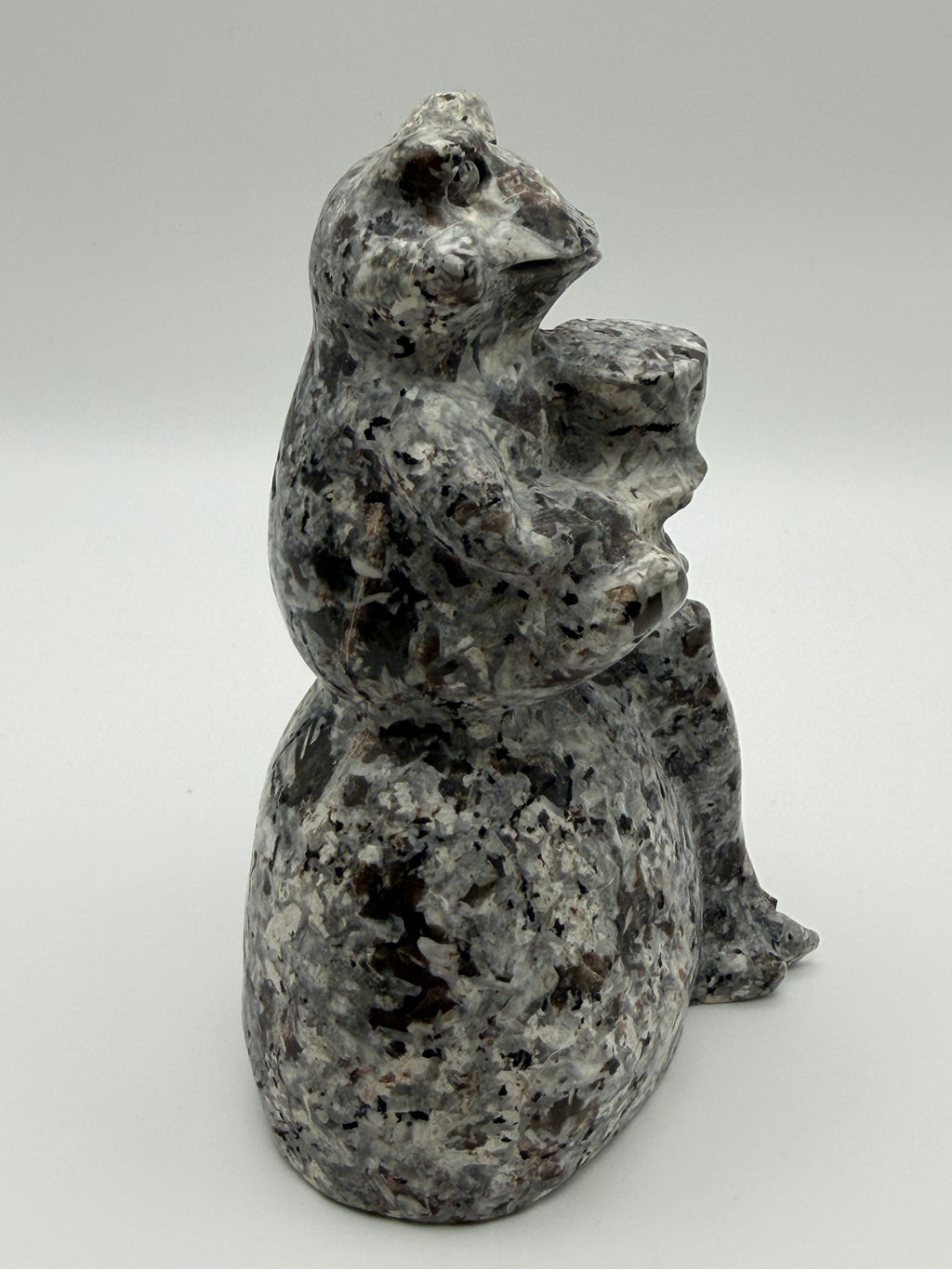 XL Yooperlite Frog on Stone Carving