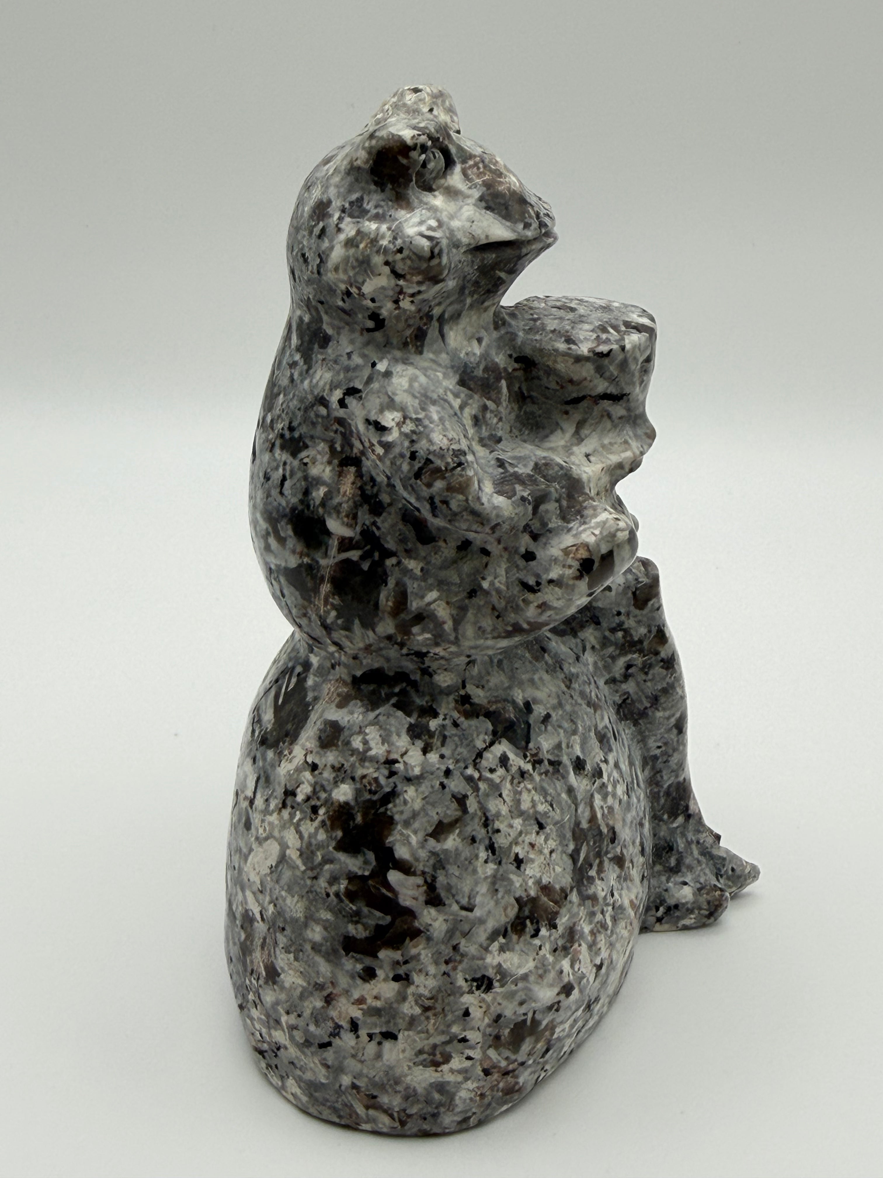 XL Yooperlite Frog on Stone Carving