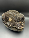 Septarian Dragon Egg Geode
