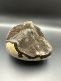 Septarian Dragon Egg Geode